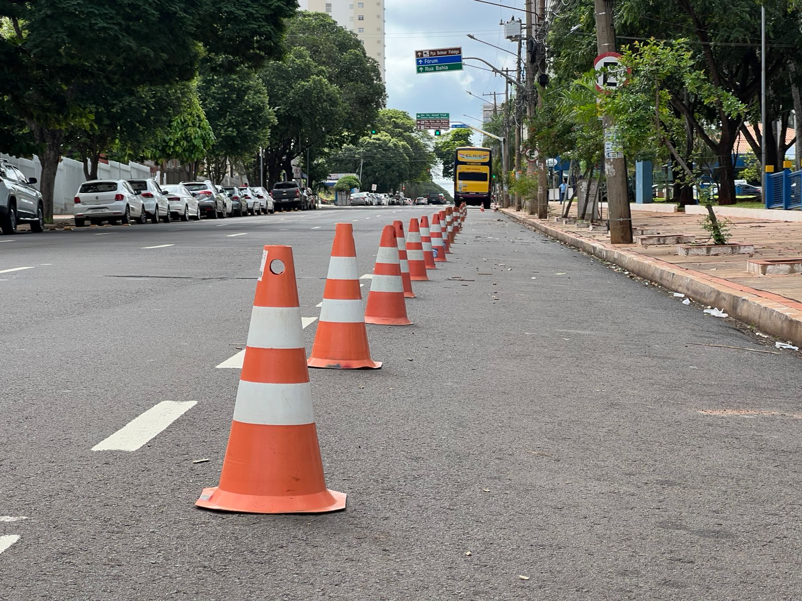Corrida de rua terá interdições no domingo em Campo Grande