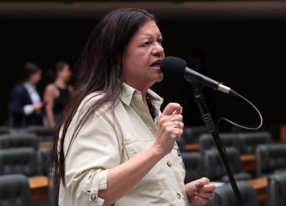 Comissão da Câmara aprova proposta que define piso salarial para assistentes sociais - Foto: Bruno Spada/Câmara dos Deputados