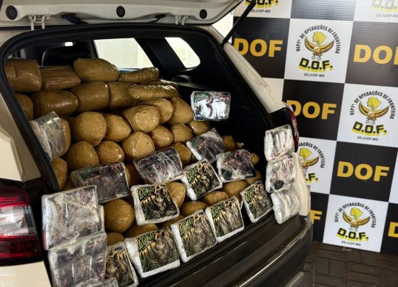 DOF apreendeu drogas e recuperou veículo furtado durante operação - Fotos: DOF