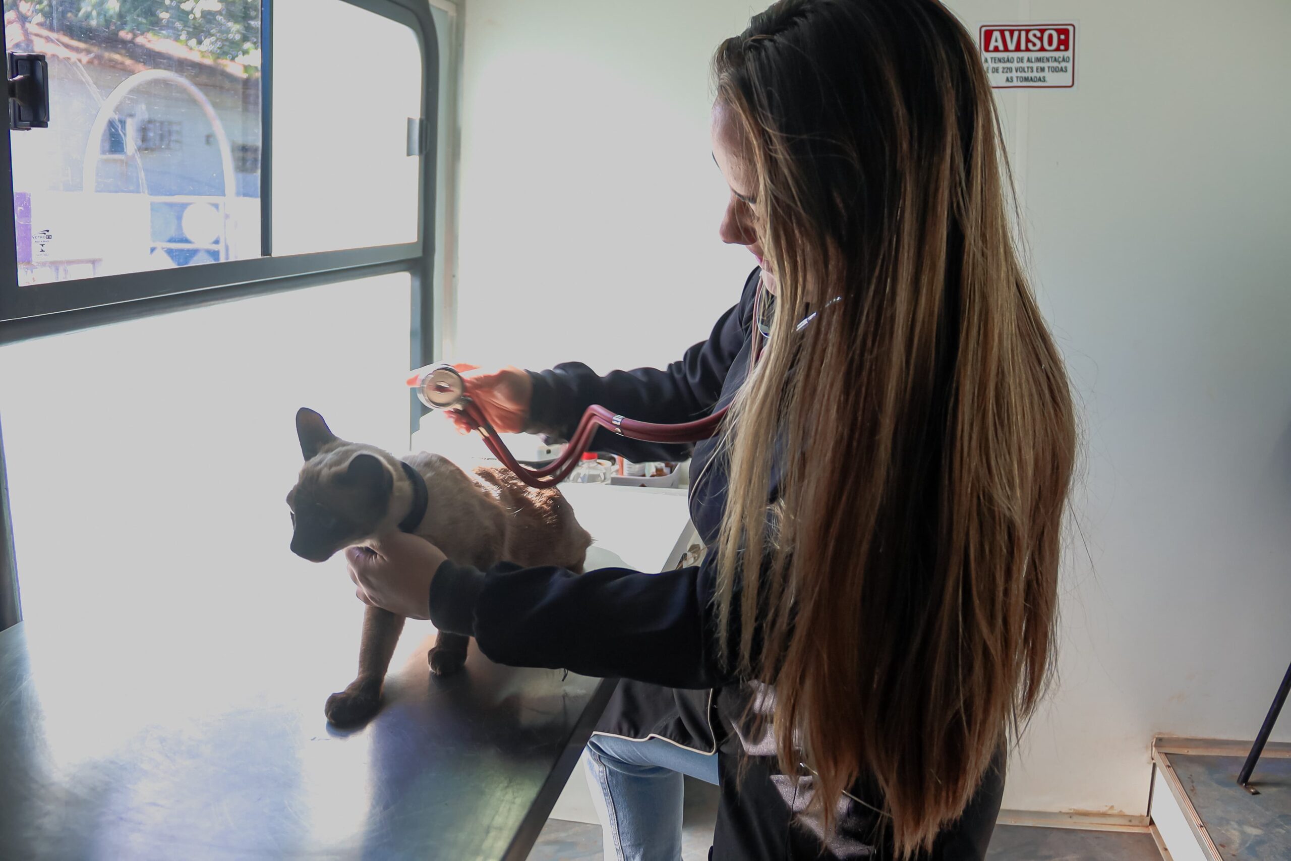 Consultório móvel atende pets na Praça do Papa a partir de segunda