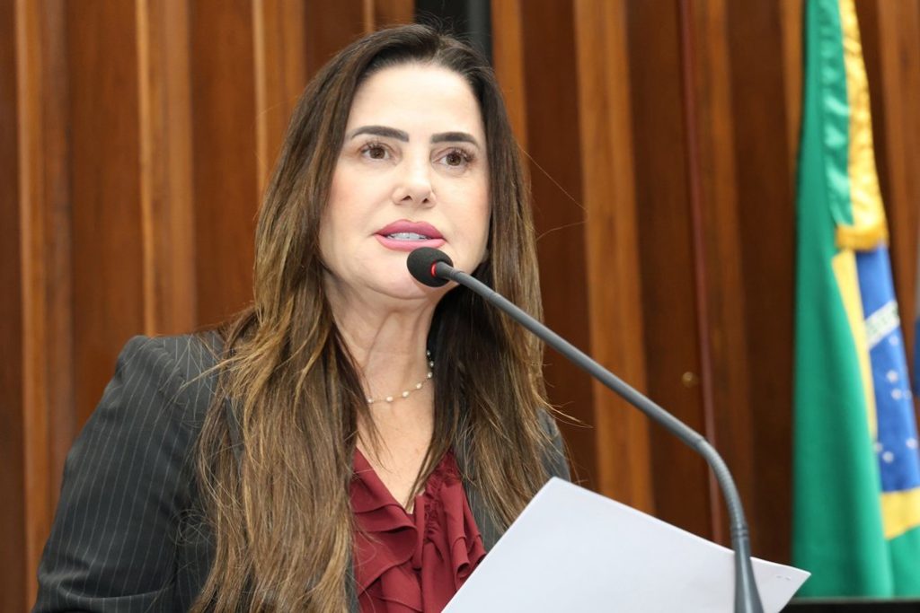 Mara Caseiro pediu audiência pública para discutir situação das famílias de Porto Caiuá - Foto: Wagner Guimarães