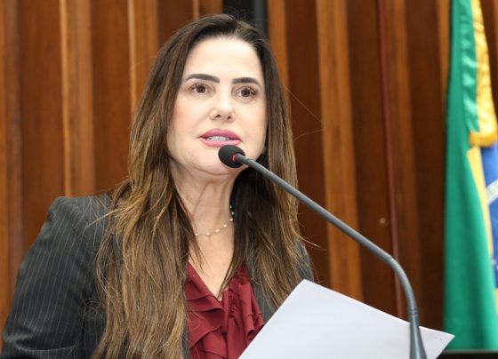 Mara Caseiro pediu audiência pública para discutir situação das famílias de Porto Caiuá - Foto: Wagner Guimarães