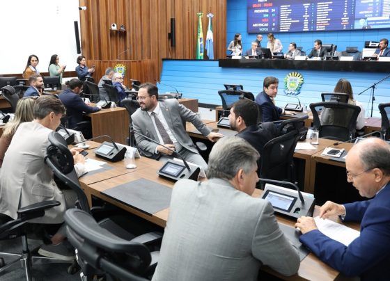 Deputados estaduais analisam proposta sobre conscientização da depressão infantil - Foto: Wagner Guimarães