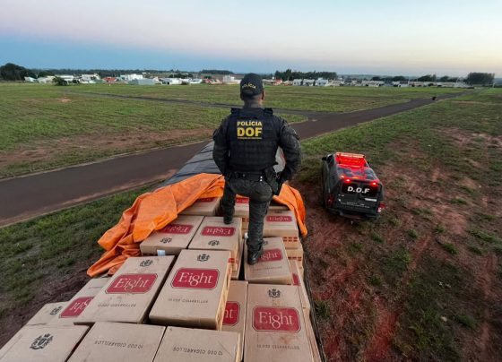 Carga de cigarros contrabandeados foi encontrada em caminhão abandonado - Foto: DOF