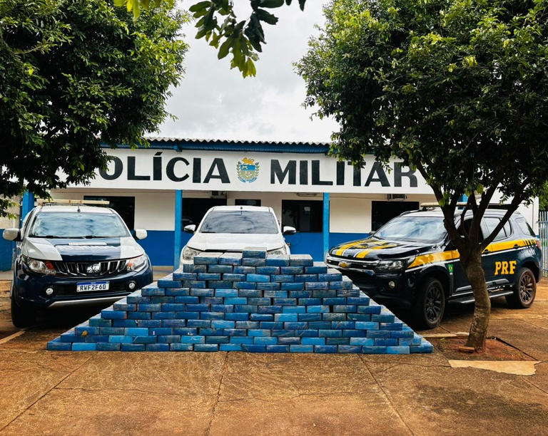 PRF e PM apreendem 1,5 tonelada de maconha em área de mata em MS