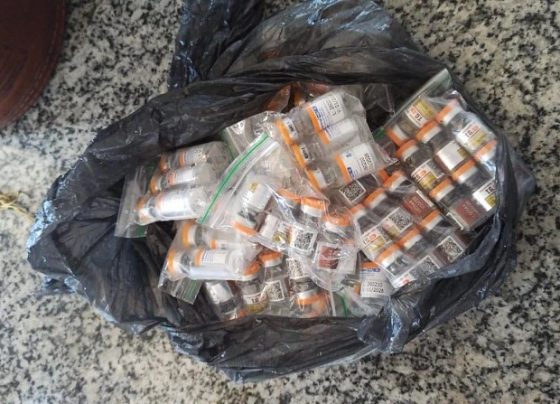 Medicamentos emagrecedores foram encontrados durante vistoria no veículo - Foto: Divulgação PRF