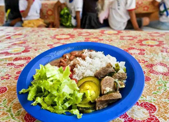 Mato Grosso do Sul já recebeu mais de R$ 48 milhões para alimentação escolar em 2026 - Foto: Sergio Amaral/MDS