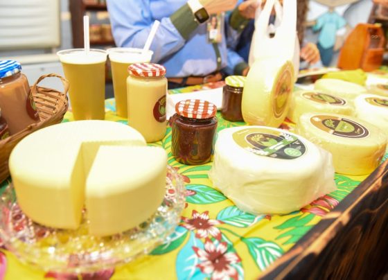 Festa do Queijo reuniu milhares de visitantes em Rochedinho - Fotos: CG Notícias