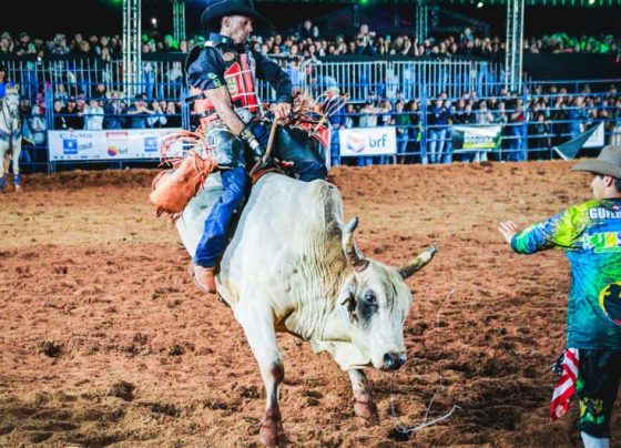 Rodeio em touros é uma das atrações da Festa do Peão em Dourados - Foto: Arquivo / Dourados News
