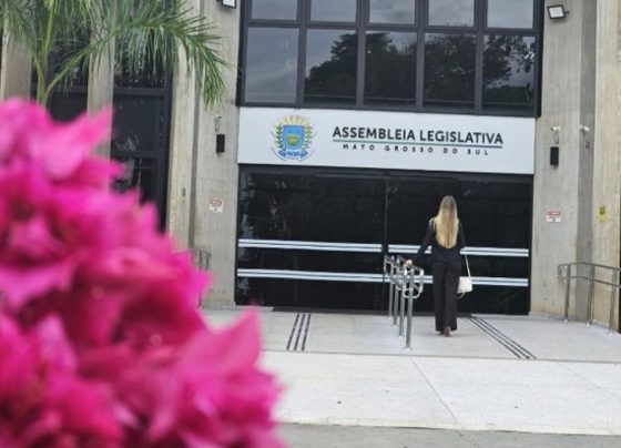 Assembleia Legislativa instituiu a Procuradoria Especial da Mulher em Mato Grosso do Sul - Foto: Aline Kraemer/Arquivo