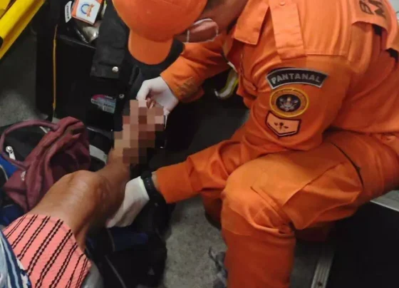 Bombeiros prestam atendimento a idosa picada por sucuri - Foto: Divulgação