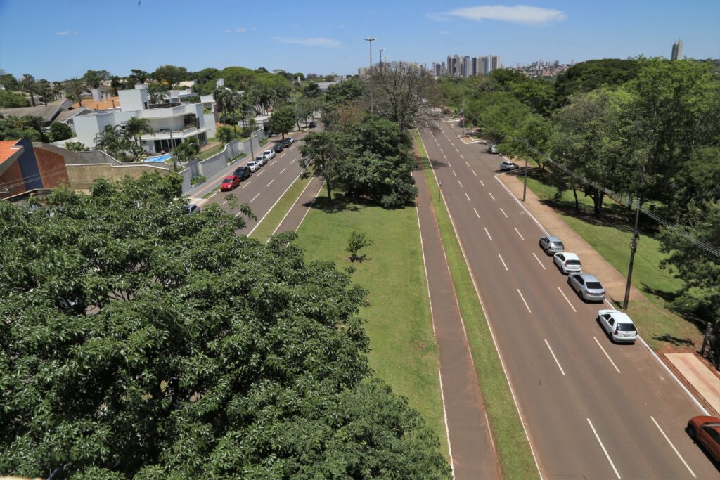 Arborização urbana é um dos principais destaques ambientais da Capital - Foto: CG Notícias