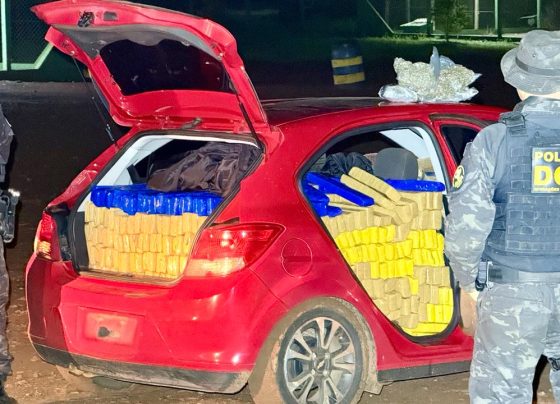 Veículo carregado com drogas foi encontrado abandonado às margens da MS-164 - Foto: DOF