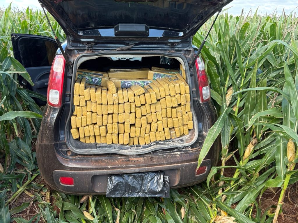 PRF apreendeu quase duas toneladas de maconha em Sidrolândia e Maracaju - Foto: PRF