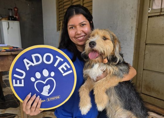 Feira de adoção terá cães e gatos resgatados neste domingo em Campo Grande - Foto: CG Notícias