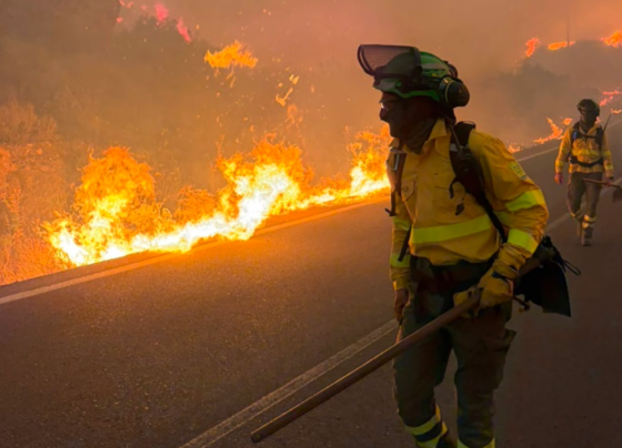 Incêndio florestal deixou ao menos 12 mortos em Los Gallardos, no sul da Espanha - Foto: X / @Plan_INFOCA