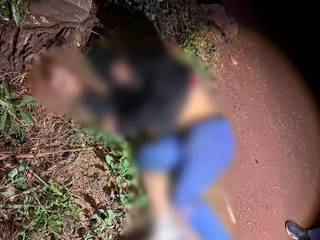 Ciclista morre atropelado na MS-376 entre Dourados e Fátima