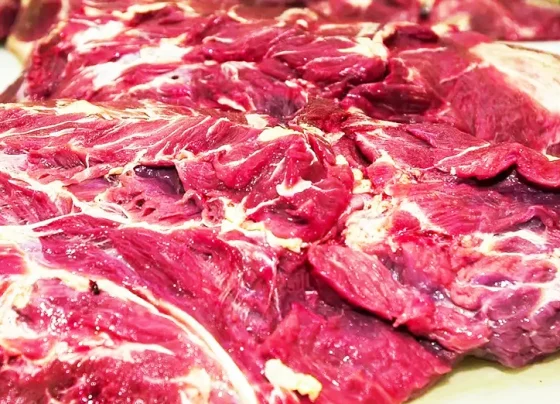 Brasil pode permanecer fora do mercado europeu de carne bovina até 2027 - Foto: Agência Brasil