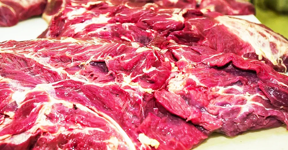 Brasil pode perder mercado europeu de carne bovina até 2027