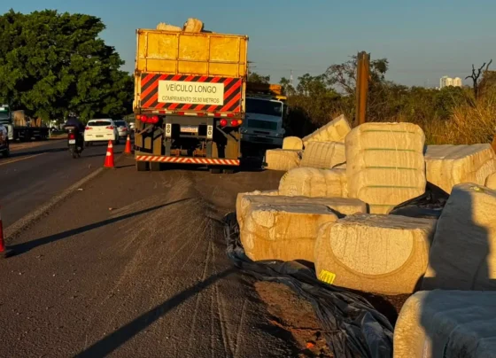 Carga de algodão permanece às margens da BR-163 quatro dias após o acidente - Foto: Pietra Dorneles, Jornal Midiamax