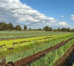 Cooperados participaram de reunião para definir ações de fortalecimento da agricultura urbana - Foto: CG Notícias