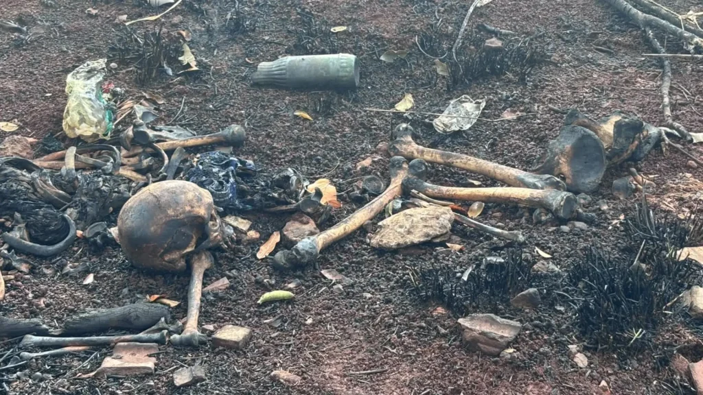 Possíveis restos mortais foram encontrados em uma área de mata no Bairro Zé Pereira - Foto: Reprodução/Divulgação