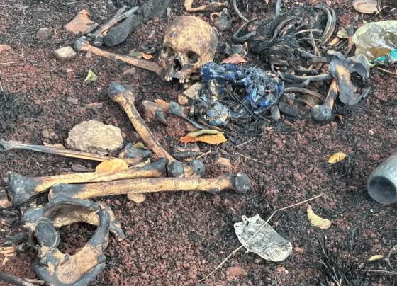 Local havia sido atingido recentemente por um incêndio e parte da ossada estava queimada - Foto: Reprodução/Divulgação