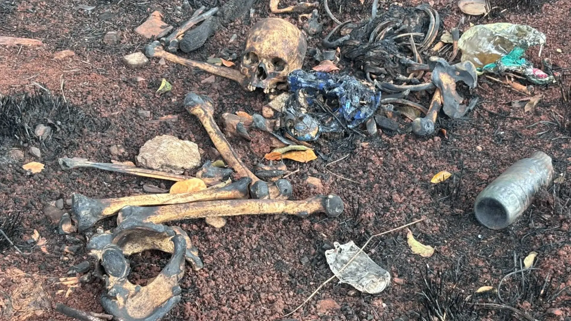 Possível ossada humana é encontrada em mata no Zé Pereira
