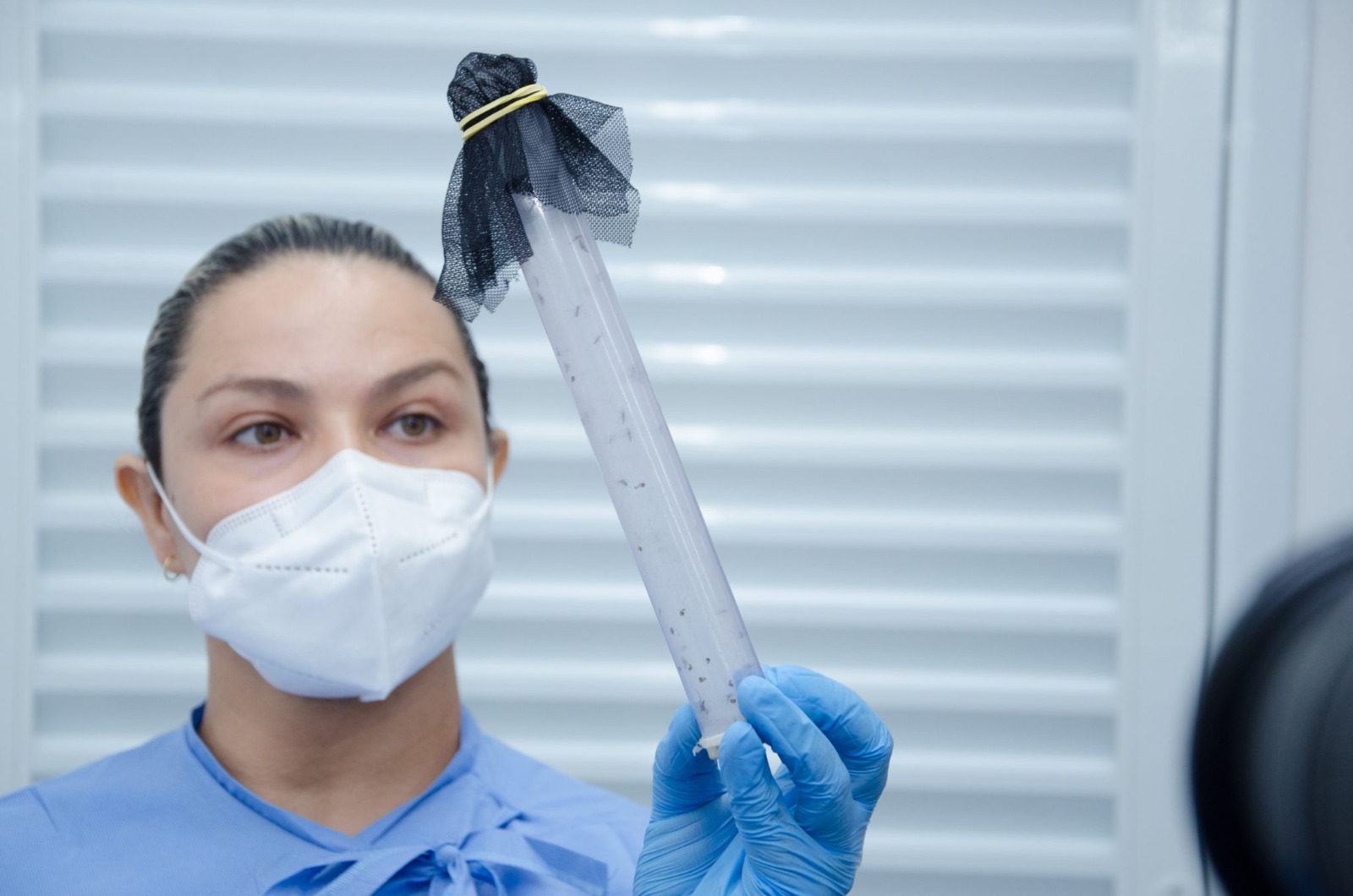 Campo Grande realiza oficina sobre dengue, zika e chikungunya