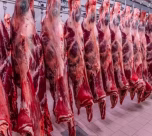 Carne bovina ficou fora da tarifa de 25% aplicada pelos Estados Unidos a produtos brasileiros - Foto: Reprodução