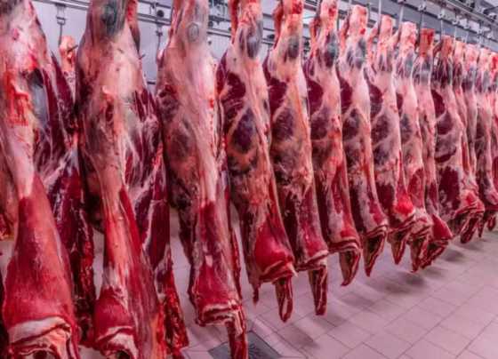 Carne bovina ficou fora da tarifa de 25% aplicada pelos Estados Unidos a produtos brasileiros - Foto: Reprodução