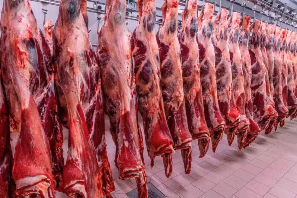 Carne fora de tarifa dos EUA alivia pecuaristas de MS