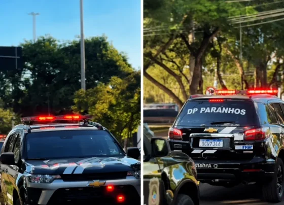 Paranhos recebeu viaturas zero-quilômetro para reforçar a Polícia Militar e a Polícia Civil - Foto: Divulgação