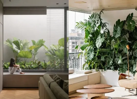Jardim de inverno integra plantas à decoração e cria ambientes mais acolhedores - Foto: Fran Parente/Divulgação