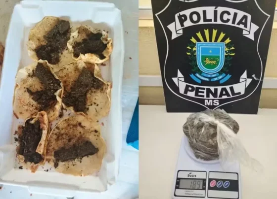 Mulher foi presa ao tentar entrar com maconha escondida em panquecas no presídio - Foto: Divulgação/Polícia Penal
