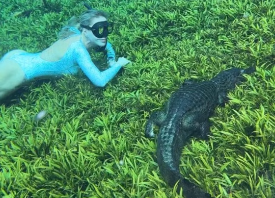 Karoline Meyer mergulhou nas águas de Bonito durante gravações de uma série sobre atletas de alto desempenho - Foto: Arquivo pessoal