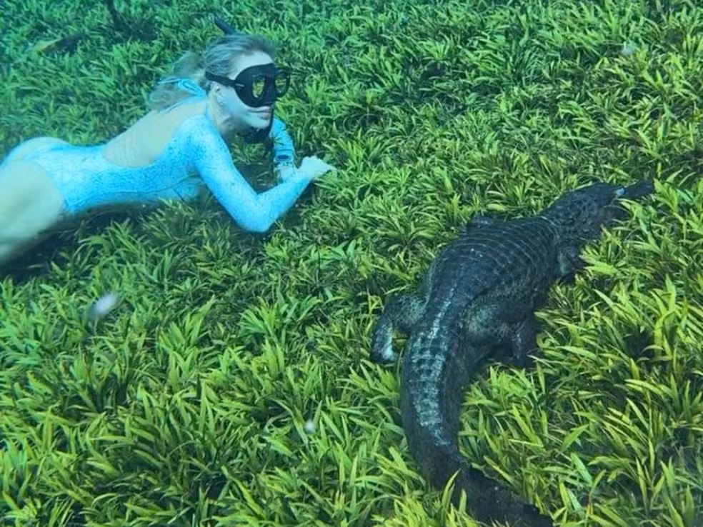Recordista mundial de apneia mergulha em Bonito e encontra jacaré