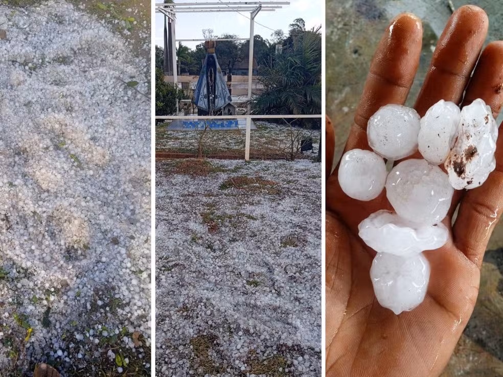 Gramado de assentamento fica coberto por camada de gelo após chuva rápida - Foto: Douglas Cardoso