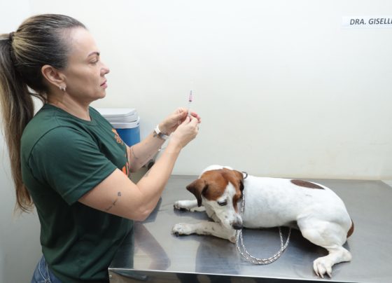 Consultório Móvel oferece atendimento veterinário gratuito a cães e gatos no Jardim Aeroporto - Foto: CG Notícias
