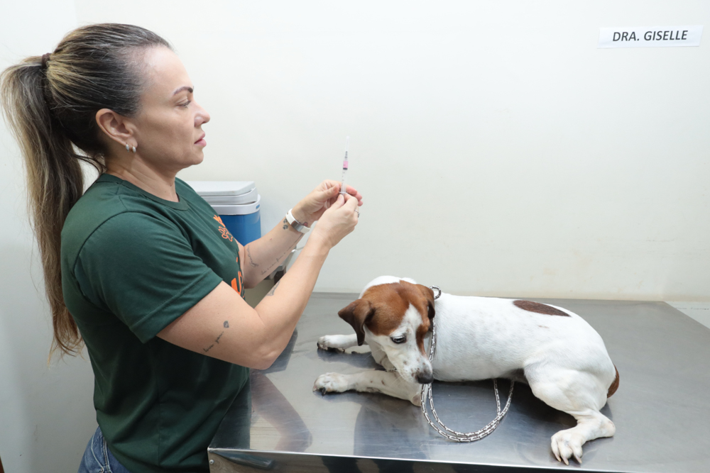 Consultório Móvel oferece atendimento gratuito a cães e gatos no Jardim Aeroporto