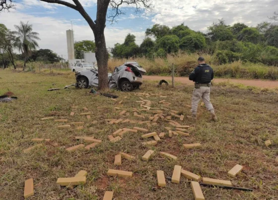 Carro ficou completamente destruído após bater contra uma árvore durante fuga da PRF em Três Lagoas - Foto: Divulgação/CBMMS