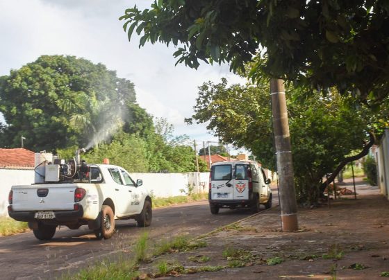 Veículos do controle de endemias percorrem bairros de Campo Grande durante aplicação do fumacê - Foto: CG Notícias