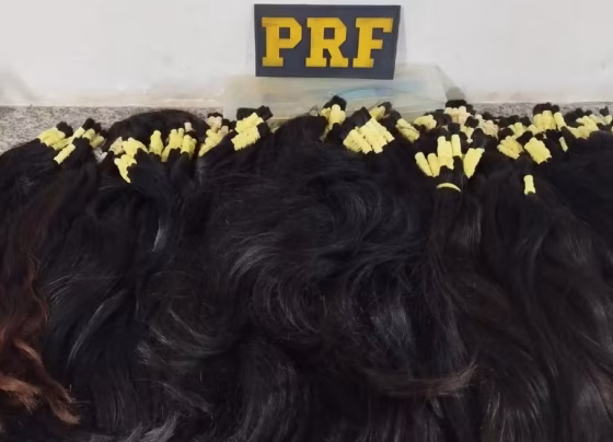 Carga de cabelo humano foi encontrada dentro da mala de passageiro em ônibus na BR-262 - Foto: Divulgação/PRF