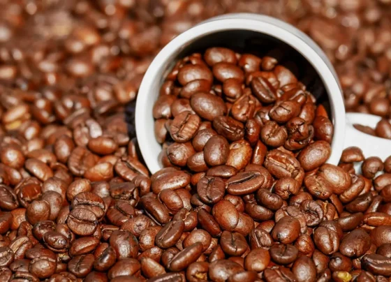 Café brasileiro é considerado difícil de substituir no mercado americano por entidade que representa o setor nos EUA - Foto: Divulgação/Datagro