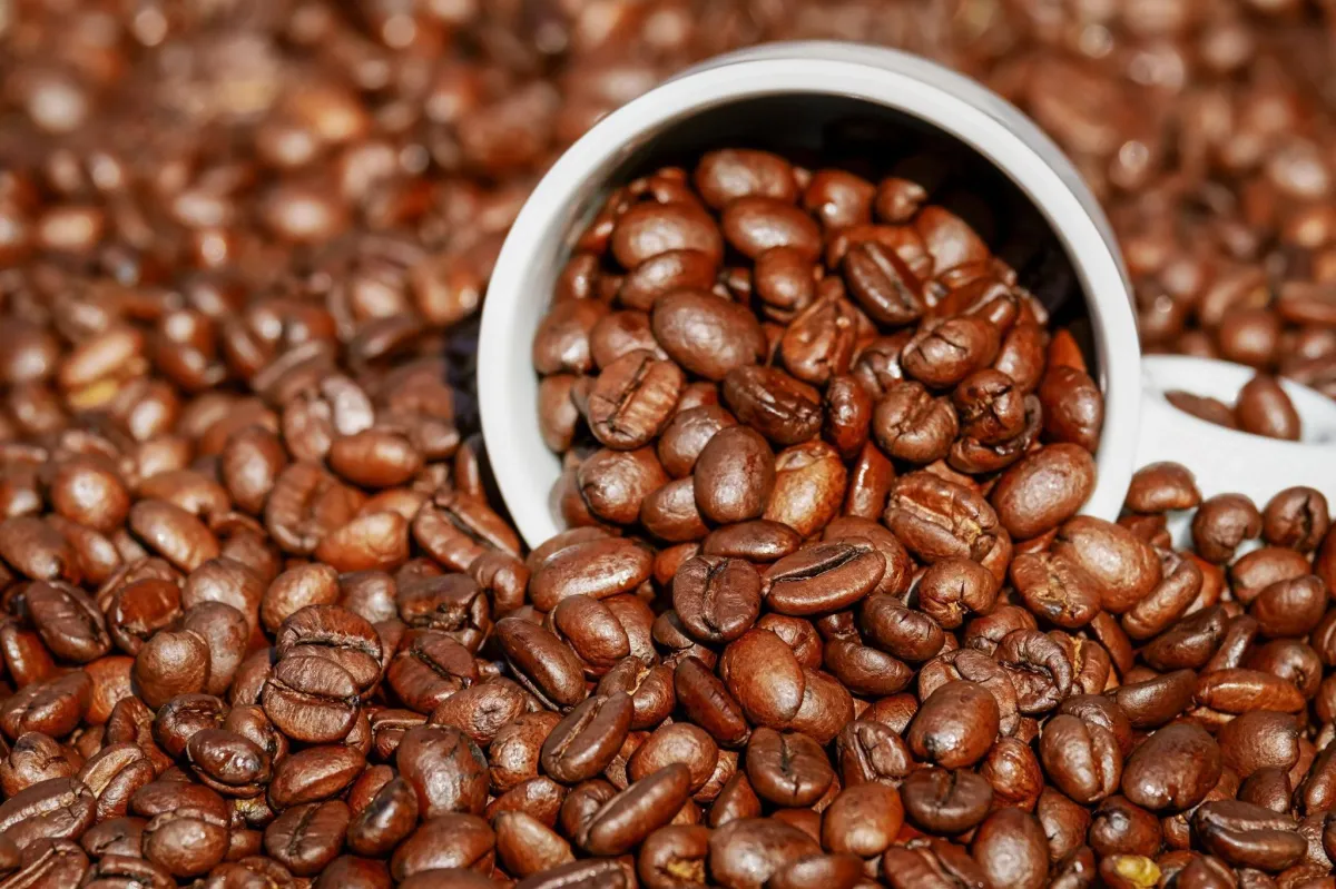 Café brasileiro é insubstituível nos EUA, diz associação do setor