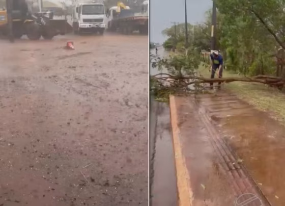 Temporal derrubou árvores e provocou danos em estabelecimentos comerciais de Antônio João - Foto: TV Morena