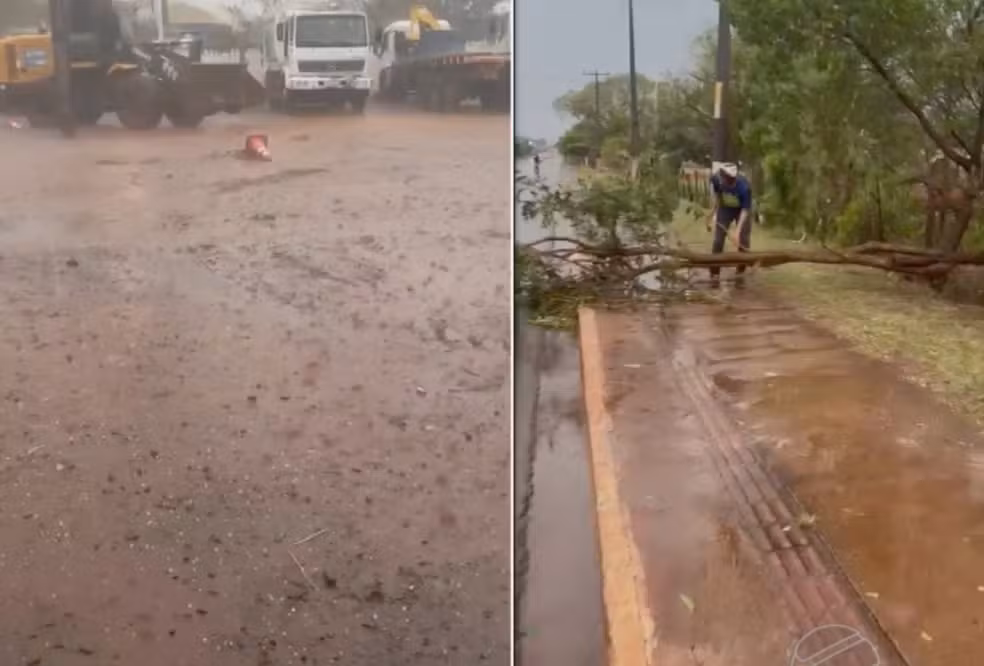 Temporal derruba árvores e danifica comércios em Antônio João