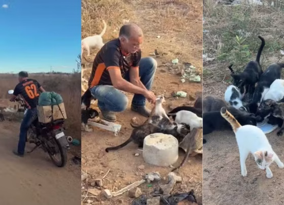 José Valvenarque alimenta diariamente cerca de 200 cães e gatos abandonados - Foto: Reprodução/Arquivo Pessoal