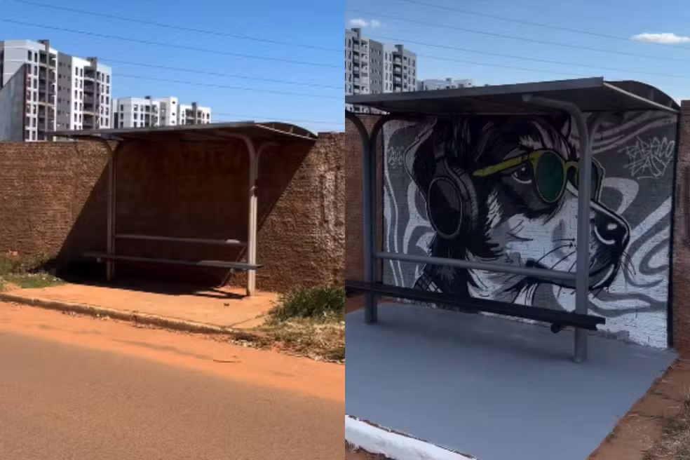 Ponto de ônibus no Noroeste vira galeria de arte a céu aberto em Campo Grande