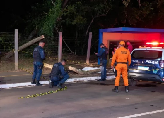 Jovem de 23 anos morreu após ser atingida por um galho de árvore no Parque dos Poderes - Foto: Divulgacao